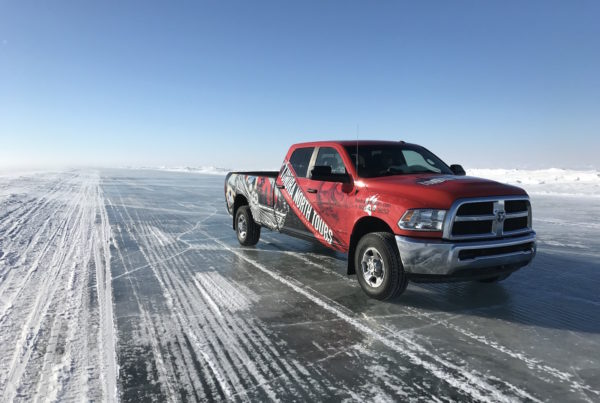 Tundra North Tours